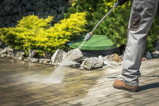 Best House Exterior Washing  in Aurora, IN